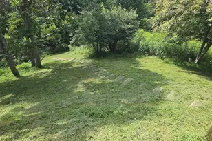 979 Wagon Rd, Warrensville, NC 28693 - Photo 49