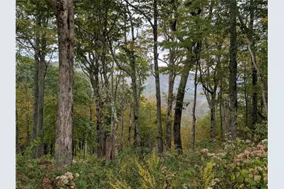 14 Elk Creek Mountain, Todd, NC 28684 - Photo 5