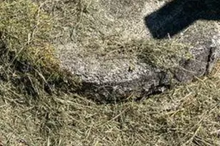 146 Hooker Trail, Mount Airy, NC 27030 - Photo 9