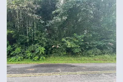 00 Paynetown Road, Mount Airy, NC 27030 - Photo 1