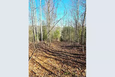 Tbd Eagle Hills Road #Eagle Hills, Purlear, NC 28665 - Photo 13