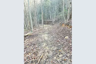 Tbd Eagle Hills Road #Eagle Hills, Purlear, NC 28665 - Photo 11