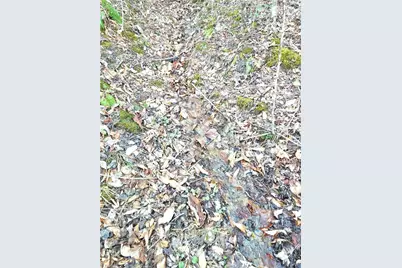 Tbd Eagle Hills Road #Eagle Hills, Purlear, NC 28665 - Photo 15