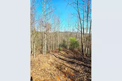 Tbd Eagle Hills Road #Eagle Hills, Purlear, NC 28665 - Photo 7