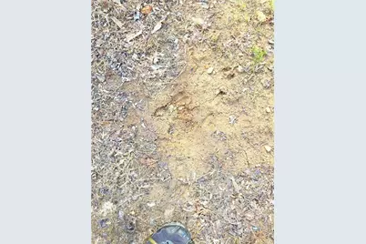 Tbd Eagle Hills Road #Eagle Hills, Purlear, NC 28665 - Photo 9