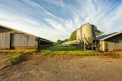 167 Buck Hollow Trail, Ararat, NC 27007 - Photo 41