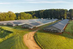 167 Buck Hollow Trail, Ararat, NC 27007 - Photo 25