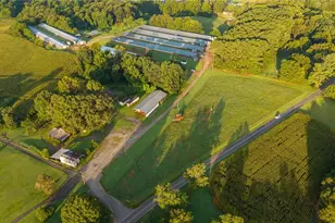 167 Buck Hollow Trail, Ararat, NC 27007 - Photo 33