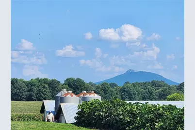 167 Buck Hollow Trail, Ararat, NC 27007 - Photo 11