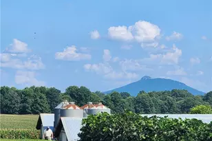 167 Buck Hollow Trail, Ararat, NC 27007 - Photo 11