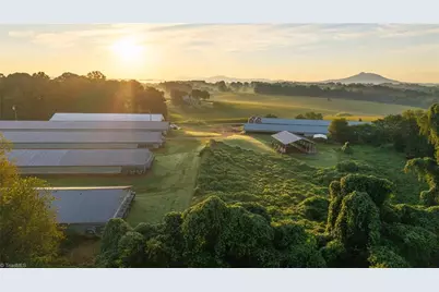 167 Buck Hollow Trail, Ararat, NC 27007 - Photo 13