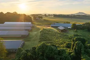 167 Buck Hollow Trail, Ararat, NC 27007 - Photo 13