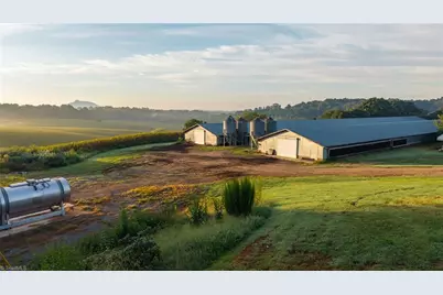 167 Buck Hollow Trail, Ararat, NC 27007 - Photo 21