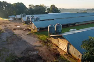 167 Buck Hollow Trail, Ararat, NC 27007 - Photo 19