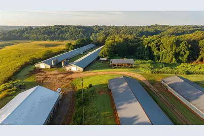 167 Buck Hollow Trail, Ararat, NC 27007 - Photo 29