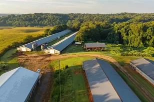 167 Buck Hollow Trail, Ararat, NC 27007 - Photo 29