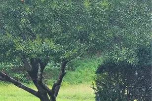 132 Rivertree Ln, Winston-Salem, NC 27103 - Photo 5