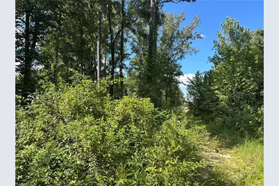 174 Eric Road, Mocksville, NC 27028 - Photo 3