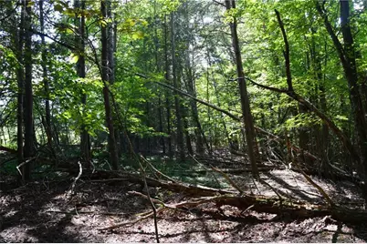 01 Hanging Rock Forest Road #Tract D (14ac), Danbury, NC 27016 - Photo 15