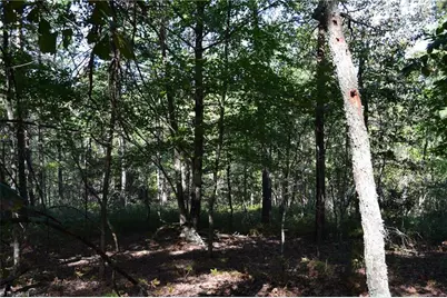 01 Hanging Rock Forest Road #Tract D (14ac), Danbury, NC 27016 - Photo 13