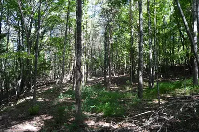 01 Hanging Rock Forest Road #Tract D (14ac), Danbury, NC 27016 - Photo 9