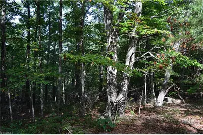 01 Hanging Rock Forest Road #Tract D (14ac), Danbury, NC 27016 - Photo 7