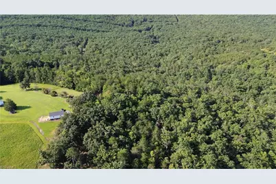 01 Hanging Rock Forest Road #Tract D (14ac), Danbury, NC 27016 - Photo 17