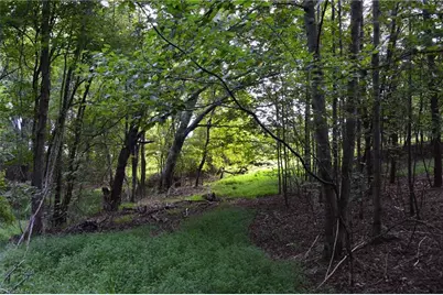 02 Hanging Rock Forest Road #Tract E (10.8), Danbury, NC 27016 - Photo 1