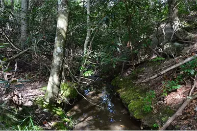 02 Hanging Rock Forest Road #Tract E (10.8), Danbury, NC 27016 - Photo 13