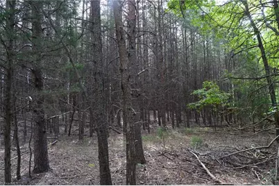 02 Hanging Rock Forest Road #Tract E (10.8), Danbury, NC 27016 - Photo 5