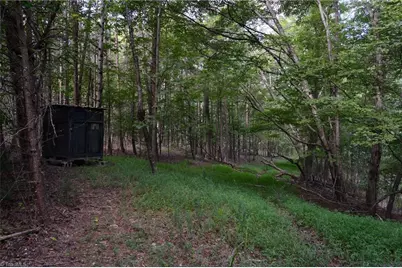 02 Hanging Rock Forest Road #Tract E (10.8), Danbury, NC 27016 - Photo 7