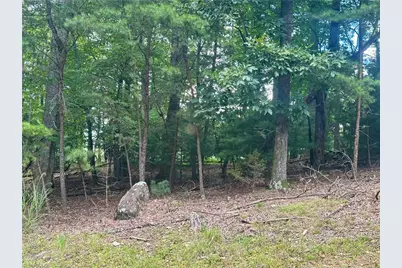 132 View Point Drive, Traphill, NC 28685 - Photo 3