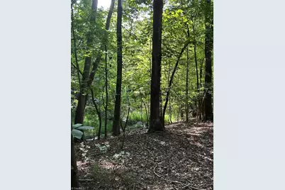 0000 Jewell Road, Reidsville, NC 27320 - Photo 3