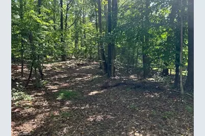 0000 Jewell Road, Reidsville, NC 27320 - Photo 1