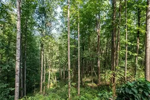 530 Alleghany Spur Rd, Traphill, NC 28689 - Photo 23