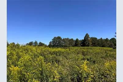 11218 Nc 268, Elkin, NC 28621 - Photo 11