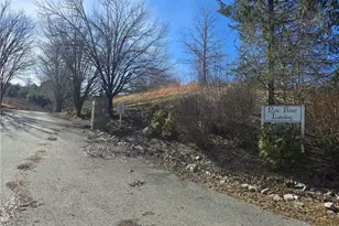 Lot #46 New River Landing, Crumpler, NC 28617 - Photo 1