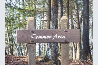 87 Sutters Ridge Road, McGrady, NC 28649 - Photo 3