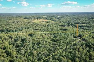 219 Cart Dr, Reidsville, NC 27320 - Photo 33