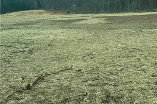 195 H L Palmer Rd, Lexington, NC 27292 - Photo 1