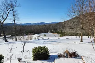 246 & 252 Bear Trail, Lowgap, NC 27024 - Photo 3