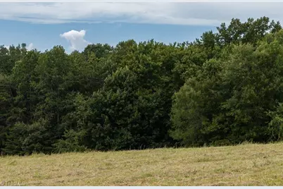 733 Slate Mountain Road, Mount Airy, NC 27030 - Photo 27