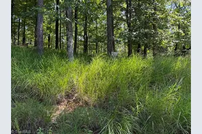 33 Ashe View Drive, Millers Creek, NC 28651 - Photo 5