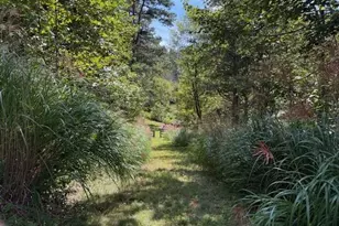 33 Ashe View Dr, Millers Creek, NC 28651 - Photo 1