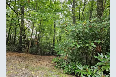 582 Deer Crossing Lane, Lenoir, NC 28645 - Photo 19