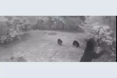 582 Deer Crossing Lane, Lenoir, NC 28645 - Photo 41