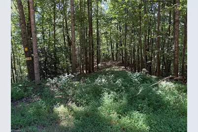 Lot 102 & 103 Hickory Hollow Road, Purlear, NC 28665 - Photo 13