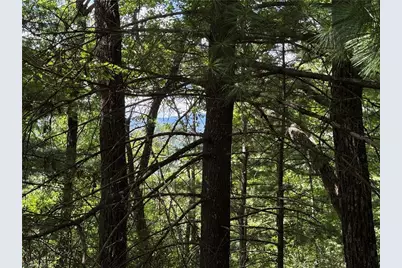 Lot 102 & 103 Hickory Hollow Road, Purlear, NC 28665 - Photo 7