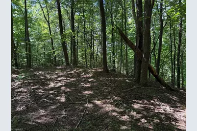 Lot 102 & 103 Hickory Hollow Road, Purlear, NC 28665 - Photo 15