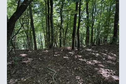 Lot 102 & 103 Hickory Hollow Road, Purlear, NC 28665 - Photo 17